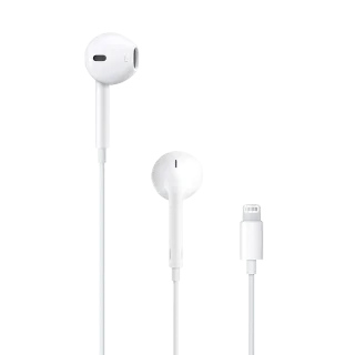 Apple earpods with discount lightning connector not working